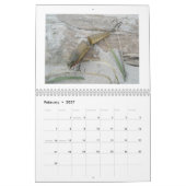 Kalender - Vintage-Salzwasser-Köder (Feb 2027)