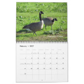 Kalender - Vögel (Feb 2027)