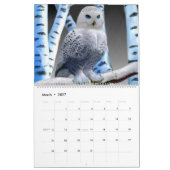 KALENDER-VÖGEL #1 KALENDER (Mär 2027)