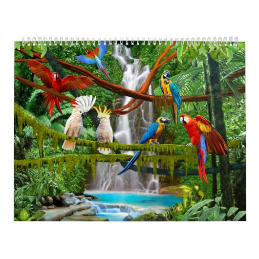 KALENDER-VÖGEL #1 KALENDER (Titelbild)