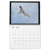 Kalender - Vögel am Strand (Mär 2026)