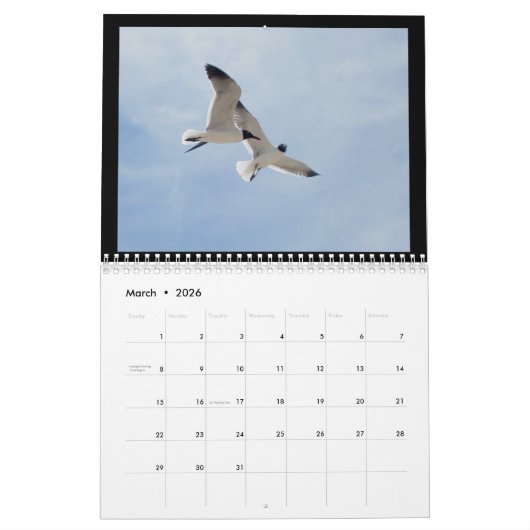 Kalender - Vögel am Strand (Mär 2026)