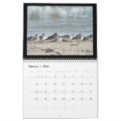 Kalender - Vögel am Strand (Feb 2026)