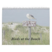 Kalender - Vögel am Strand (Titelbild)