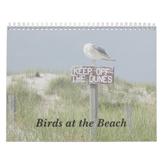 Kalender - Vögel am Strand (Titelbild)