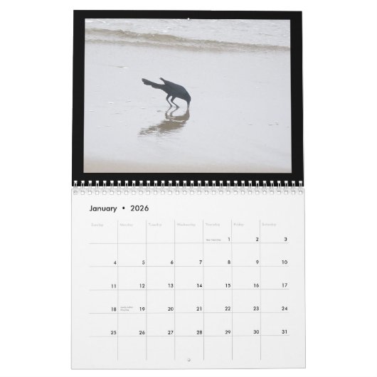 Kalender - Vögel am Strand (Jan 2026)