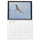 Kalender - Vögel am Strand (Mär 2027)