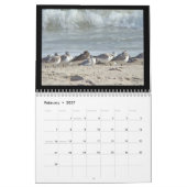 Kalender - Vögel am Strand (Feb 2027)