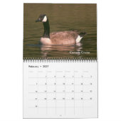 Kalender - Vögel für das neue Jahr (Feb 2027)