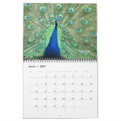 Kalender - Vögel für das neue Jahr (Mär 2027)