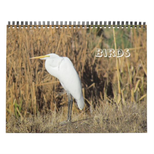 Kalender - Vögel für das neue Jahr (Titelbild)