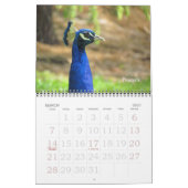 Kalender - Vögel (große Daten) (Mär 2027)