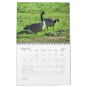 Kalender - Vögel (große Daten) (Feb 2027)
