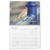 Kalender - Vögel (große Daten) (Jan 2027)
