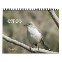 Kalender - Vögel (große Daten)