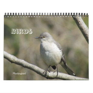 Kalender - Vögel (große Daten)