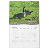Kalender - Vögel (große Daten) (Feb 2026)