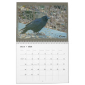 Kalender - Vögel im Perkiomen-Tal (Mär 2026)