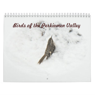 Kalender - Vögel im Perkiomen-Tal
