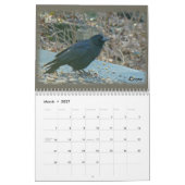 Kalender - Vögel im Perkiomen-Tal (Mär 2027)