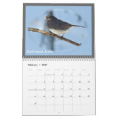 Kalender - Vögel im Perkiomen-Tal (Feb 2027)