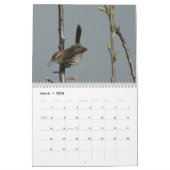 Kalender - Vögel in Nordamerika (Mär 2026)