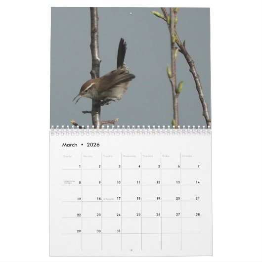 Kalender - Vögel in Nordamerika (Mär 2026)