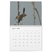 Kalender - Vögel in Nordamerika (Mär 2027)