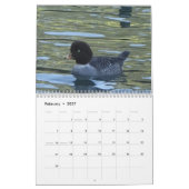 Kalender - Vögel in Nordamerika (Feb 2027)