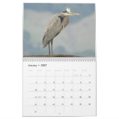 Kalender - Vögel und Schmetterlinge (Jan 2027)
