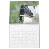 Kalender - Vögel und Schmetterlinge (Mär 2027)