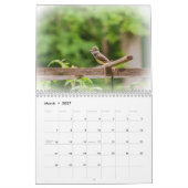Kalender - Vogelarten im Allgemeinen Hinterhof (Mär 2027)