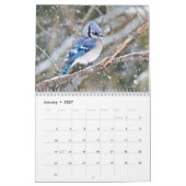 Kalender - Vogelarten im Allgemeinen Hinterhof (Jan 2027)