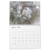 Kalender - Vogelarten im Allgemeinen Hinterhof (Feb 2027)
