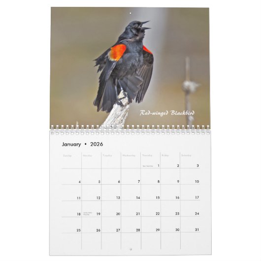 Kalender - Vogelsuche? (Jan 2026)