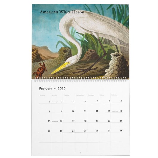 Kalender von John James Audubon (Feb 2026)