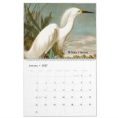 Kalender von John James Audubon (Jan 2027)
