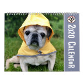 KALENDER VON SNORT RESCUE 2020 (Titelbild)