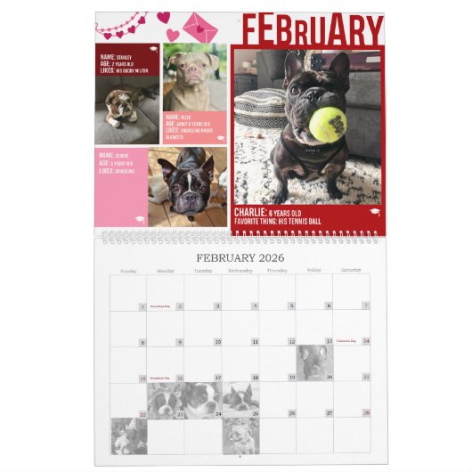 KALENDER VON SNORT RESCUE 2020 (Feb 2026)