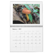 Kalender - Wald-Pilze (Feb 2027)
