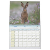 Kalender Waldtiere (Feb 2027)
