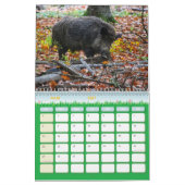 Kalender Waldtiere (Mär 2027)
