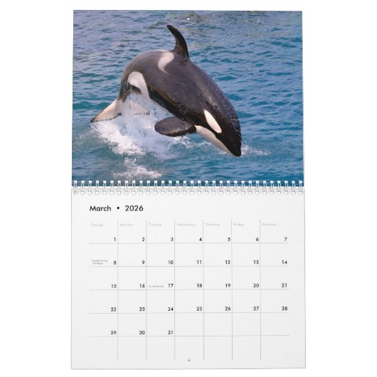 Kalender Wale (Mär 2026)