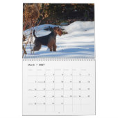 Kalender Walisers Terrier (Mär 2027)