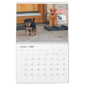Kalender Walisers Terrier (Jan 2026)