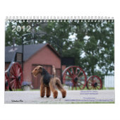 Kalender Walisers Terrier 2012 durch Darwyn (Titelbild)