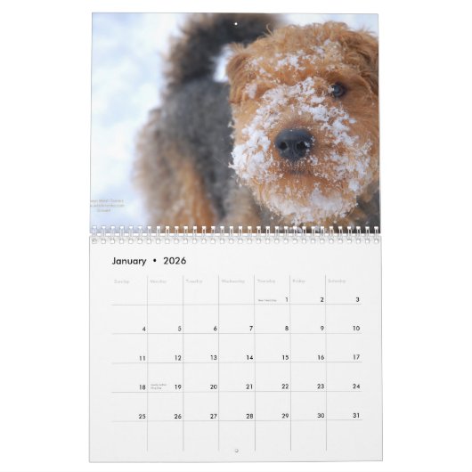 Kalender Walisers Terrier 2012 durch Darwyn (Jan 2026)