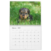 Kalender Walisers Terrier 2012 durch Darwyn (Feb 2027)