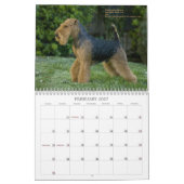 Kalender Walisers Terrier 2013 durch Darwyn (Feb 2027)