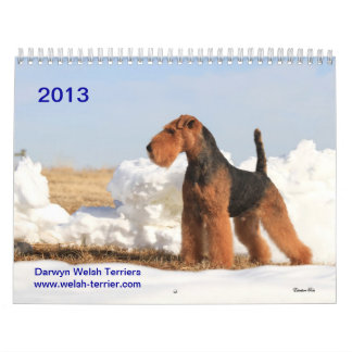 Kalender Walisers Terrier 2013 durch Darwyn